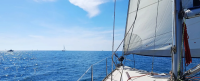 Sortie en mer avec l'association Guérir en mer
